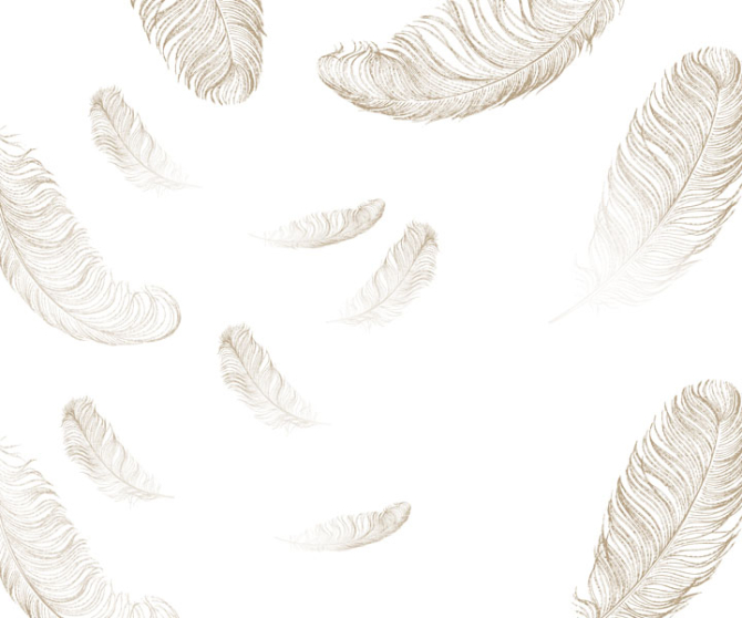 Фотообои Золотое перо