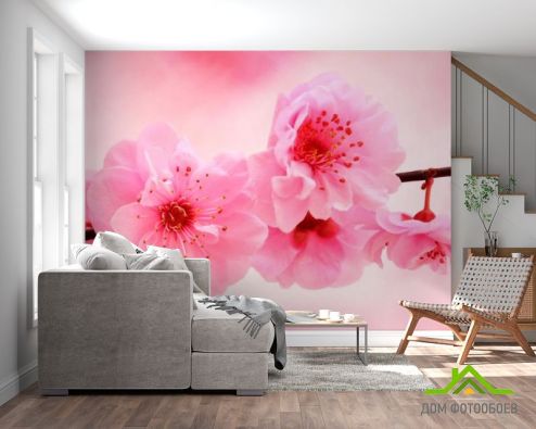выбрать Фотообои Распустилась вишня Фотообои Фотообои Цветы: розовый на стену