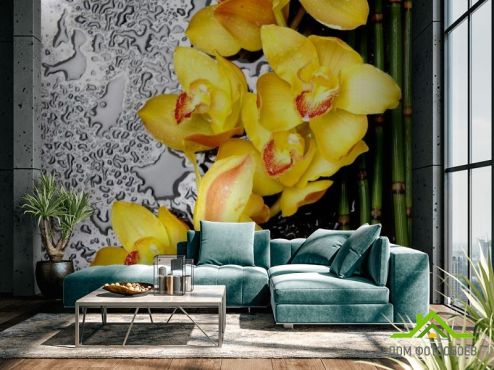 выбрать Фотообои Орхидеи желтые Фотообои Фотообои Орхидеи: фото, желтый  на стену