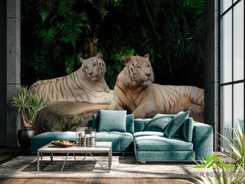 выбрать Фотообои Семейство белых тигров Фотообои Фотообои Тигры: горизонталная, горизонтальная ориентация на стену