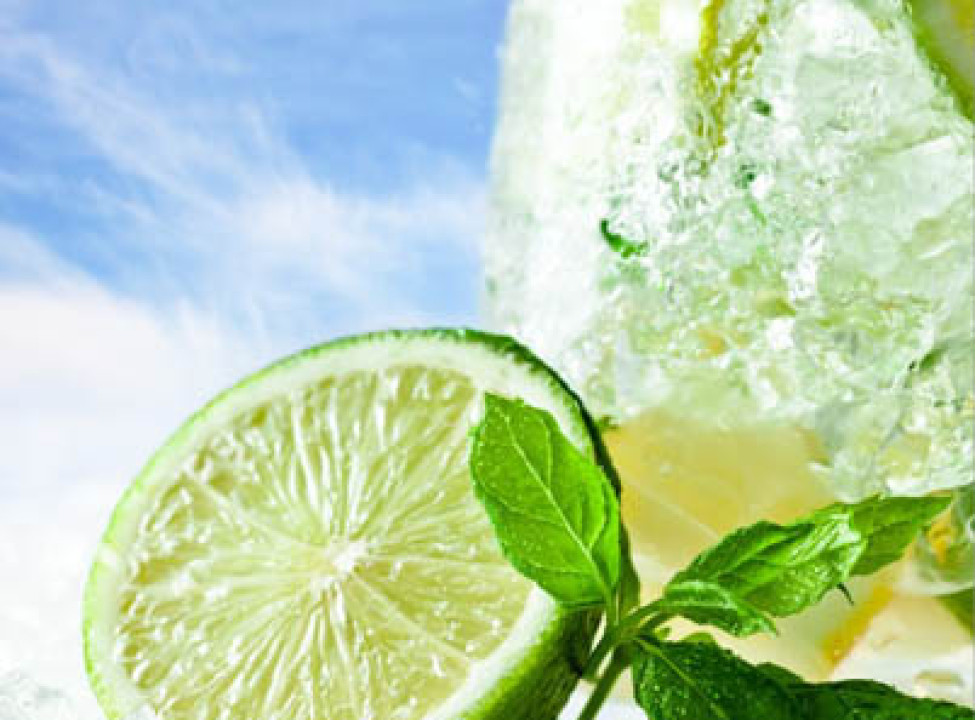 выбрать Фотошпалери лайм Каталог фотошпалер на стіну