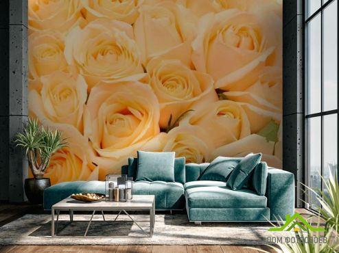 выбрать Фотошпалери Букет з кремових троянд Фотошпалери Троянди на стіну