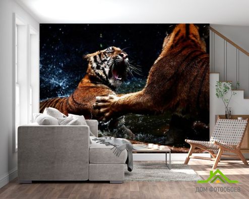выбрать Фотообои Драка тигров Фотообои Тигры на стену