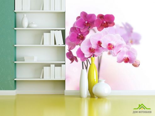 выбрать Фотообои Белые и розовые орхидеи Фотообои, цвет: «квадратная» на стену