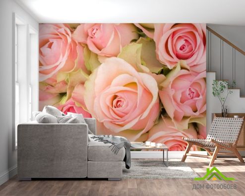 выбрать Фотообои roses Фотообои Розы на стену