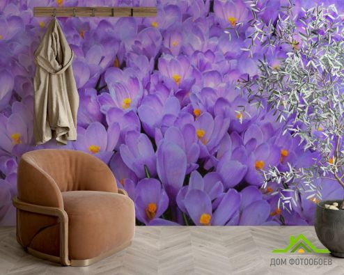 выбрать Фотообои Нежно-сиреневые подснежники Фотообои Фотообои Цветы: фиолетовый на стену