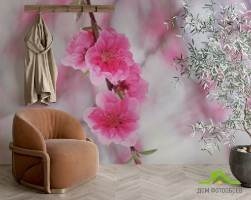 выбрать Фотообои Цветущее весной розовым дерево Фотообои Фотообои Цветы: фото  на стену