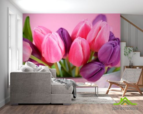 выбрать Фотообои Розовые и фиолетовые тюльпаны Фотообои Тюльпаны на стену