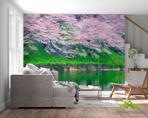 выбрать Фотообои Цветы над водой Фотообои Фотообои Природа: горизонталная, горизонтальная, розовый ориентация на стену