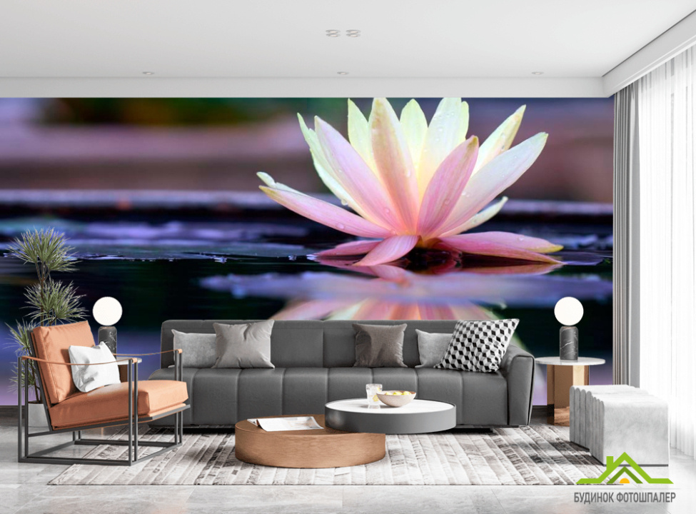 выбрать Фотошпалери Квітка Каталог фотошпалер на стіну