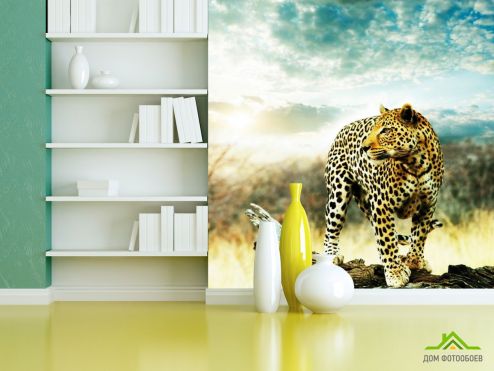 выбрать Фотообои Наблюдающий гепард Фотообои Гепарды на стену