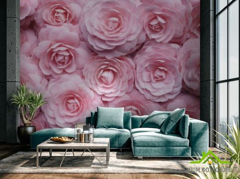 выбрать Фотообои широкие розы Фотообои Розы на стену