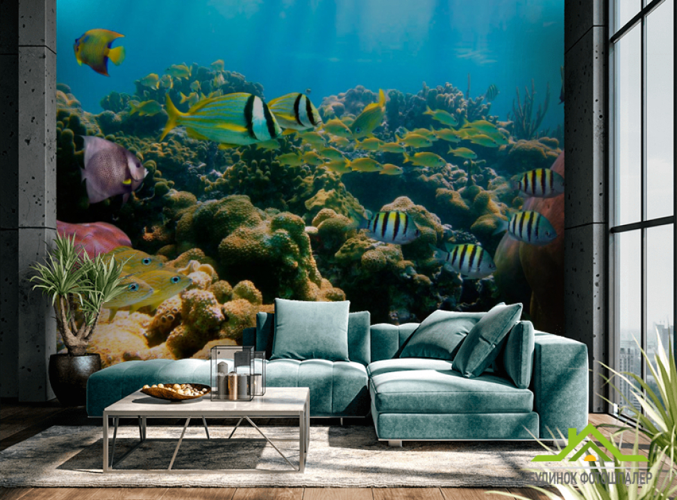 выбрать Фотошпалери Косяк рибок Каталог фотошпалер на стіну