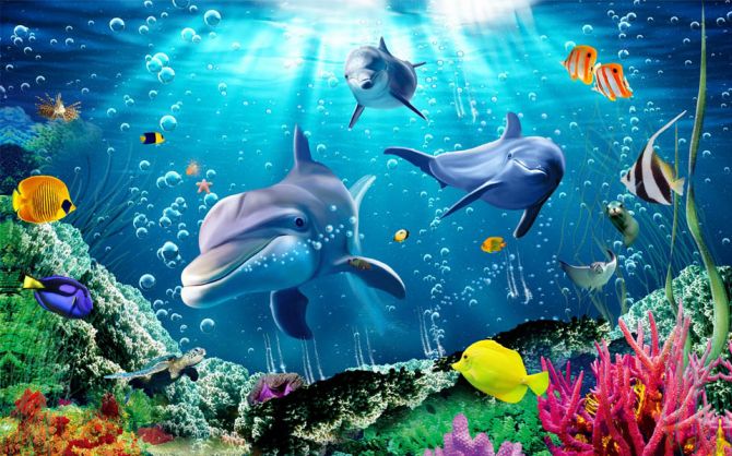 Фотообои Дельфины в море