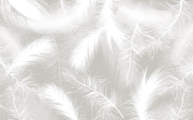 Фотообои Белые векторные перья