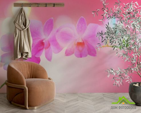 выбрать Фотошпалери Блідо-рожеві квіти Фотошпалери Фотошпалери Квіти: рожевий на стіну