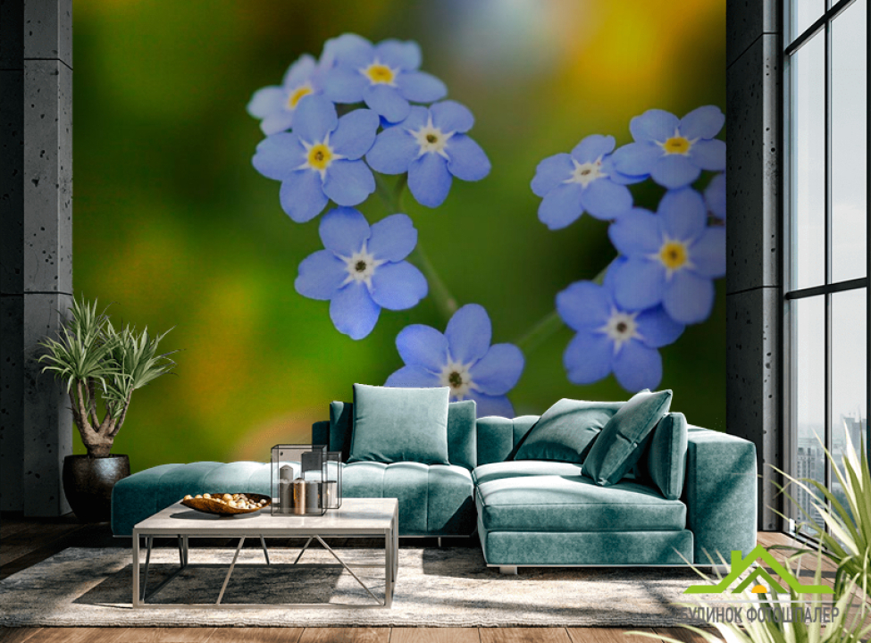 выбрать Фотошпалери Волошки Каталог фотошпалер на стіну