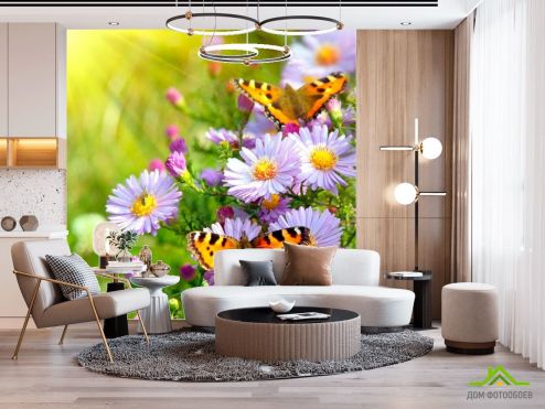 выбрать Фотообои Бабочки в цветах Зеленые фотообои на стену