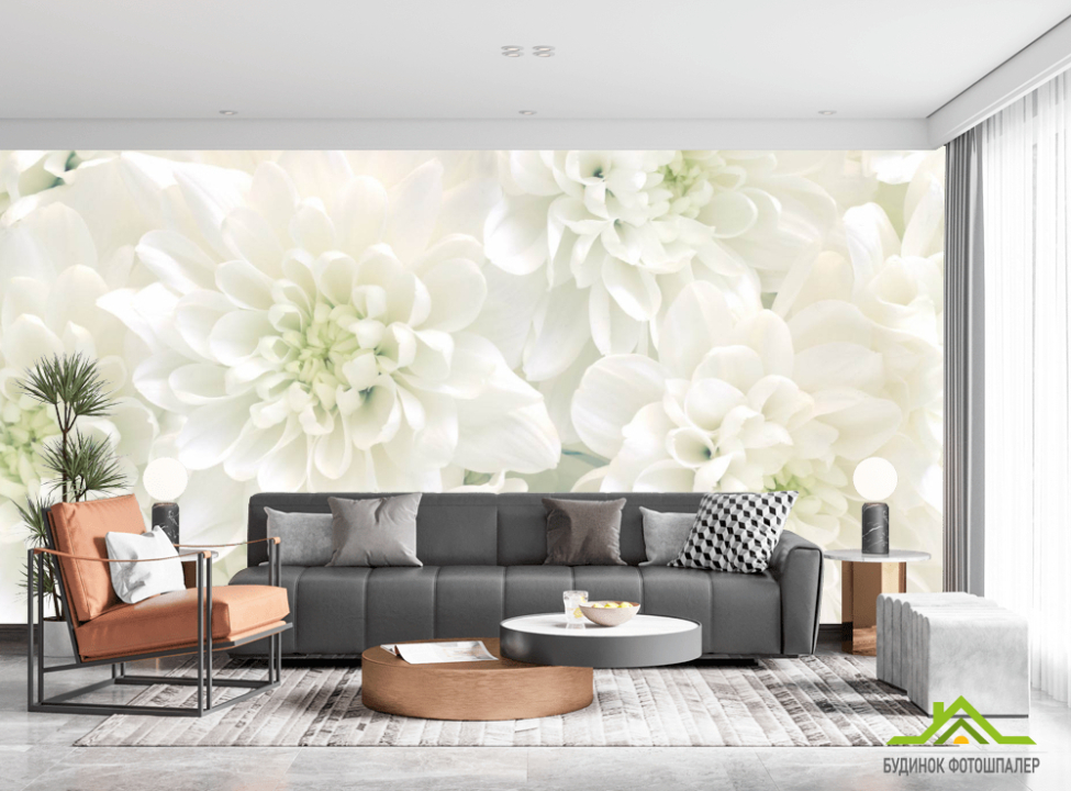 выбрать Фотошпалери Білі хризантеми Каталог фотошпалер на стіну