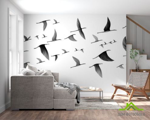 выбрать Фотообои птицы  на стену