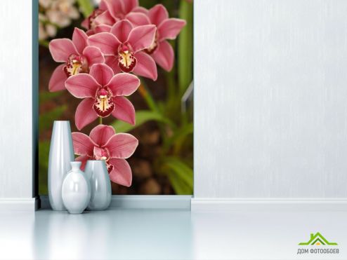 выбрать Фотообои Розовые орхидеи Фотообои Цветы на стену