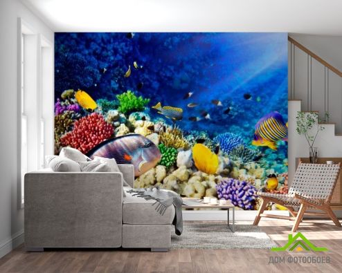 выбрать Фотообои Рыбы в глубине Фотообои Фотообои Море: горизонталная, горизонтальная, синий ориентация на стену