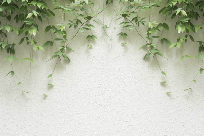 Фотошпалери Листя зі стелі