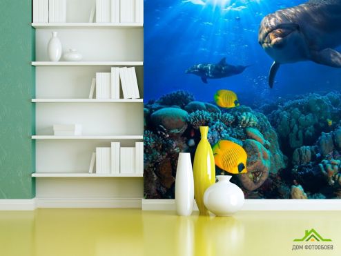 выбрать Фотошпалери Дельфіни і море Фотошпалери Фотошпалери Море: квадратна орієнтація на стіну