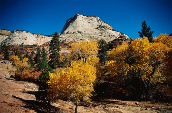 Фотообои Компас и карта