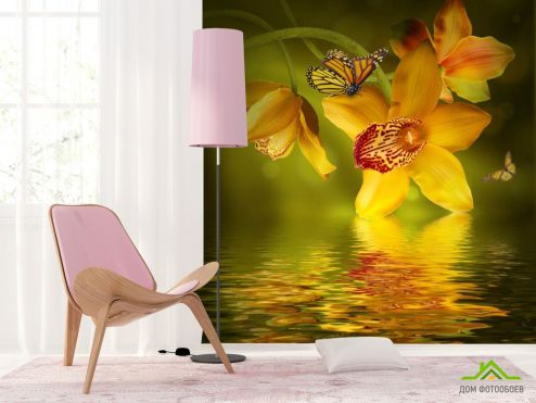 выбрать Фотошпалери Орхідеї з метеликами Фотошпалери Фотошпалери Квіти: квадратна на стіну