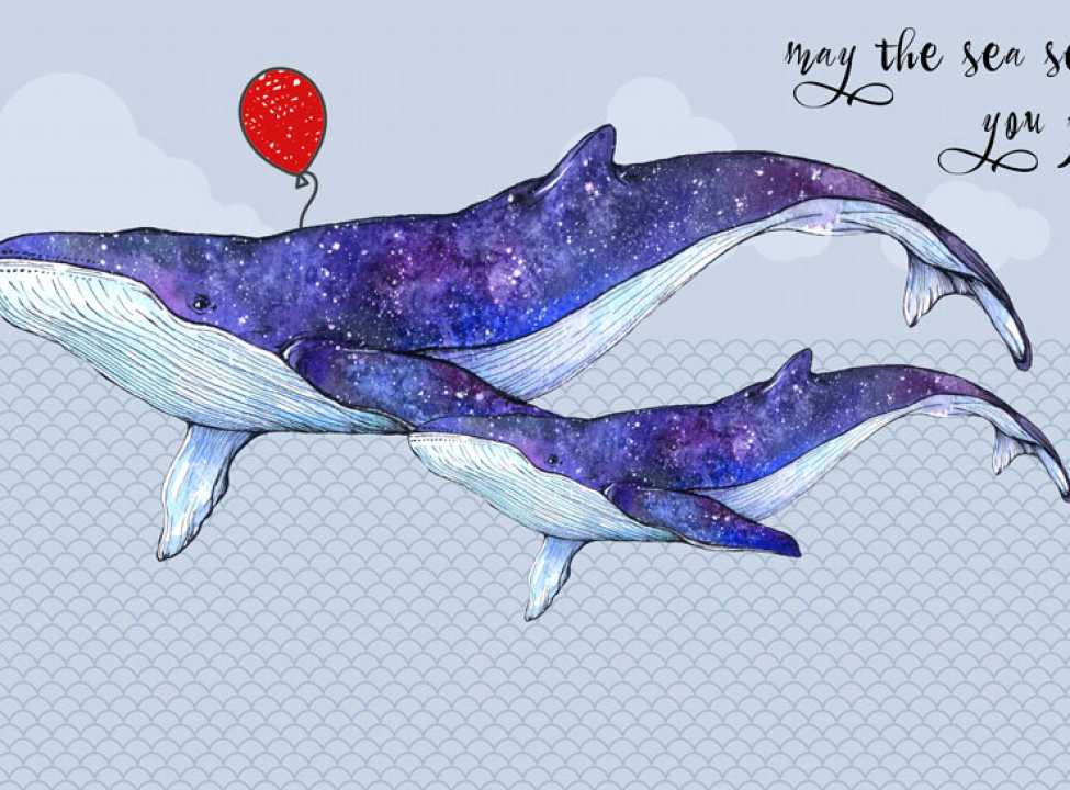 выбрать Фотообои Синие киты Каталог фотообоев на стену