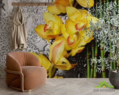 выбрать Фотошпалери Жовті орхідеї Фотошпалери Фотошпалери Квіти: квадратна, горизонтальна, жовтий орієнтація на стіну