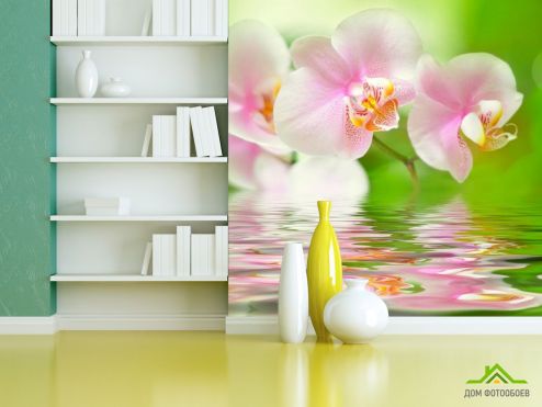 выбрать Фотошпалери Орхідеї рожево-білі Фотошпалери Фотошпалери Квіти: квадратна орієнтація на стіну