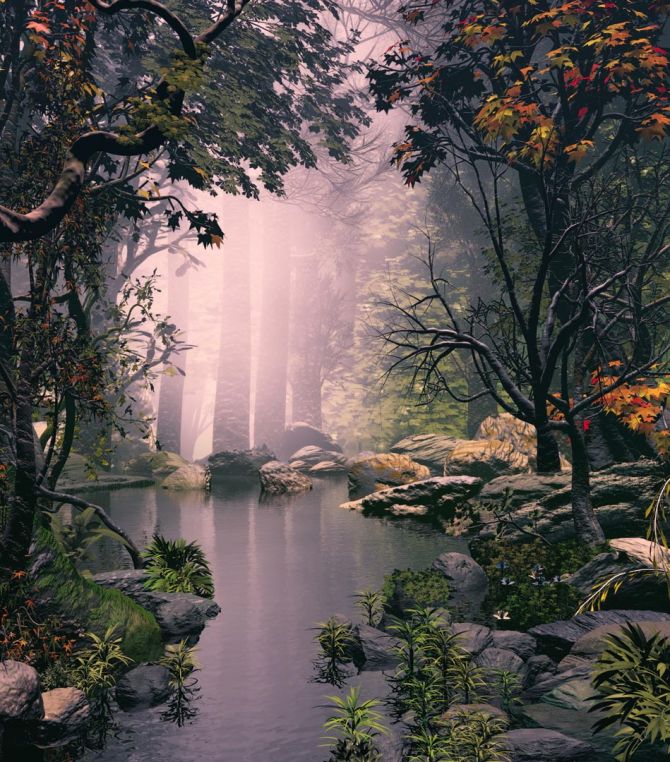 Фотообои туман в лесу над речкой
