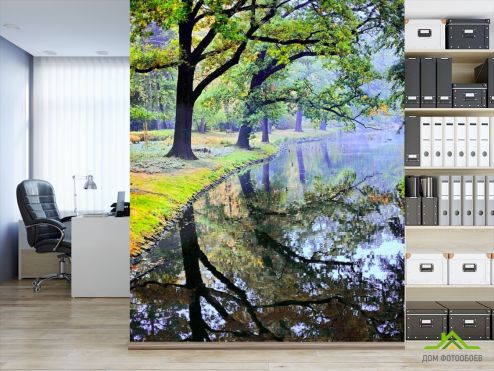 выбрать Фотообои Деревья над водой Фотообои Фотообои лес: фото  на стену