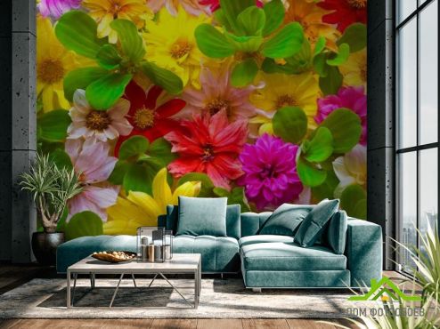 выбрать Фотошпалери Разнотравный букет Фотошпалери Фотошпалери Квіти: різнобарвний на стіну