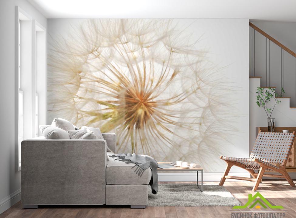 выбрать Фотошпалери кульбаба на тлі біло Каталог фотошпалер на стіну