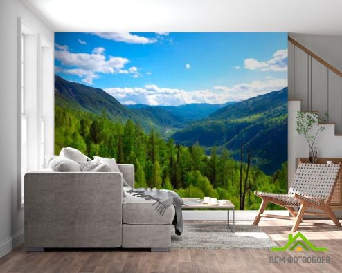 выбрать Фотообои Через горы, лес Фотообои Фотообои Природа - Лето, зелений, зеленый на стену