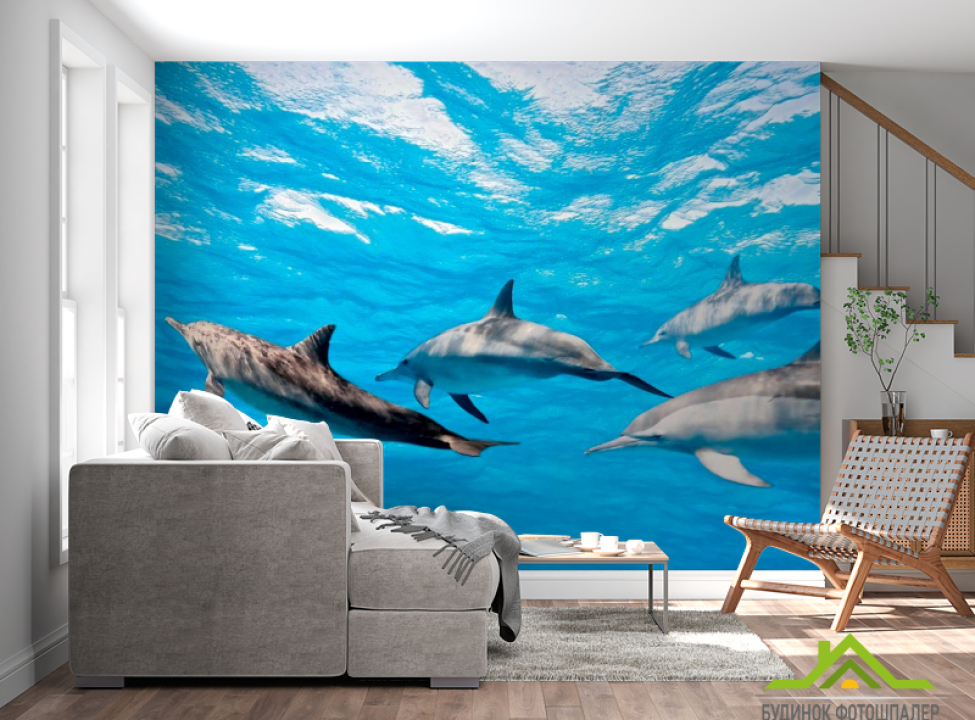 выбрать Фотообои Игра дельфинов Каталог фотообоев на стену