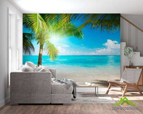 выбрать Фотообои Пальма в солнечных лучах Фотообои Море на стену