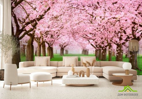 выбрать Фотообои Цветущие вишни Фотообои Фотообои Розовые деревья: фото  на стену
