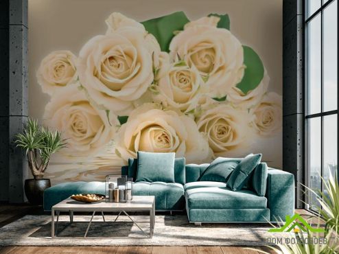 выбрать Фотообои Бежевые розы Фотообои, цвет: «горизонталная, горизонтальная» на стену
