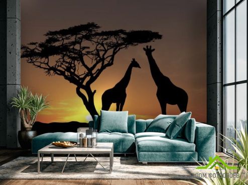 выбрать Фотообои жирафы Фотообои Фотообои Природа: горизонталная, горизонтальная ориентация на стену
