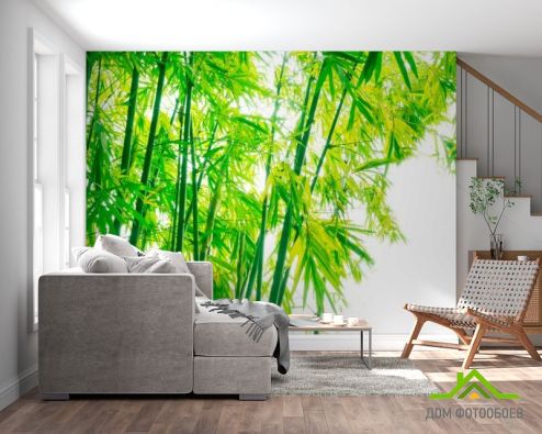 выбрать Фотошпалери Дітки, бамбук Фотошпалери Фотошпалери Природа: квадратна, горизонтальна, зелений, зелений орієнтація на стіну