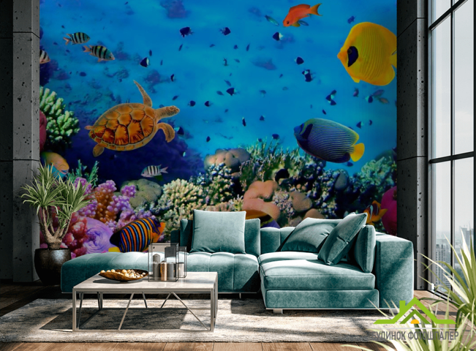 выбрать Фотошпалери Черепахи і риф Каталог фотошпалер на стіну