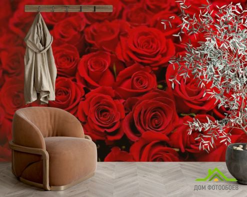 выбрать Фотообои Букет алых роз Красные фотообои на стену