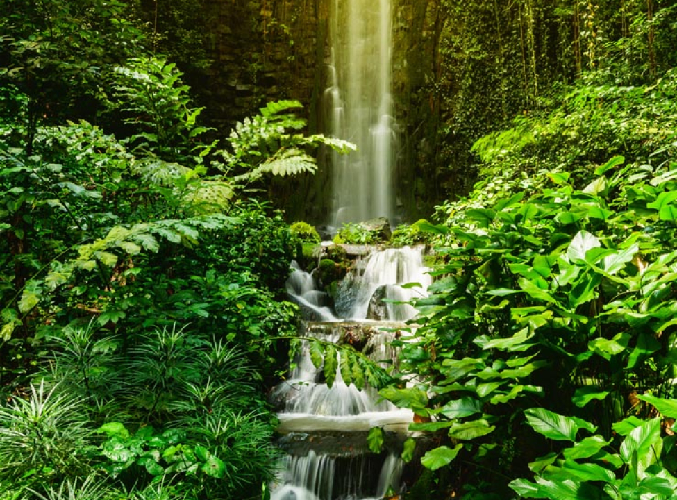 выбрать Фотошпалери водоспад і ліс Каталог фотошпалер на стіну