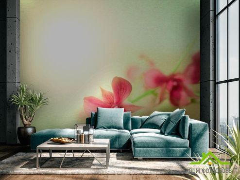 выбрать Фотообои Орхидеи бардовые Фотообои Фотообои Цветы: горизонталная, горизонтальная, зелений, зеленый ориентация на стену
