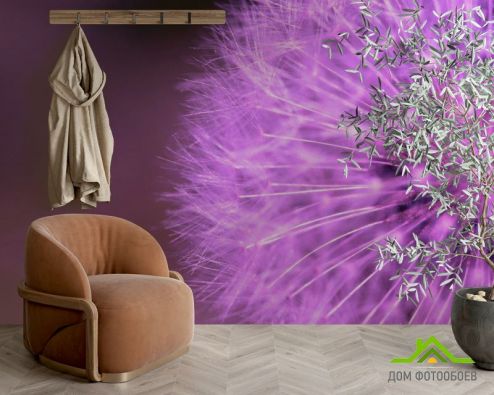 выбрать Фотообои Одуванчик сиреневый Фотообои Фотообои Цветы: фиолетовый на стену