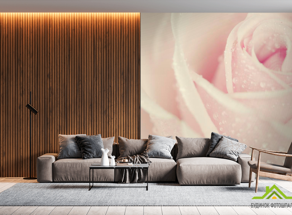 выбрать Фотообои Капли росы на розе Каталог фотообоев на стену